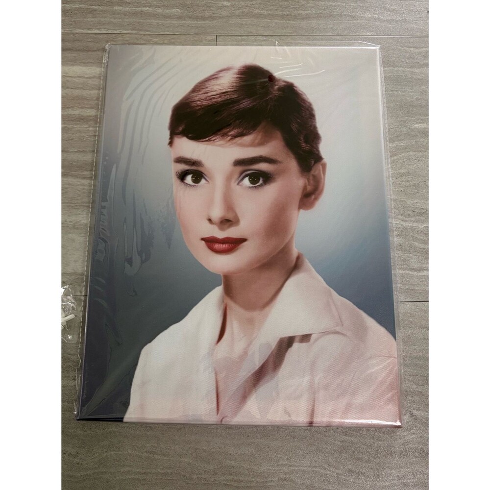 NEW Audrey Hepburn Canvas Picture Print Wall Art 12 x 16